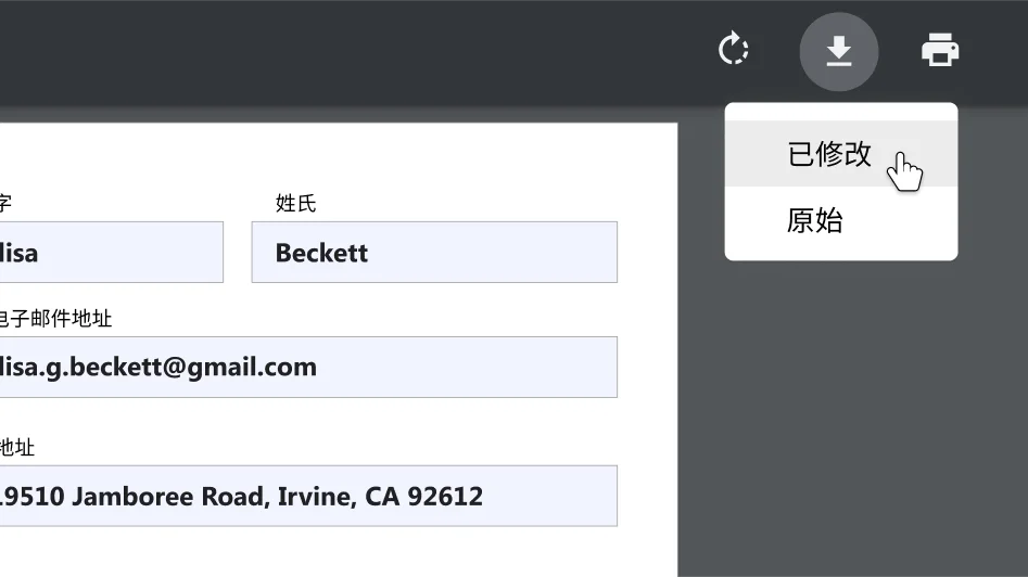 Chrome 浏览器窗口：其中打开了一个 PDF 文档，而下载和打印选项菜单放大了。